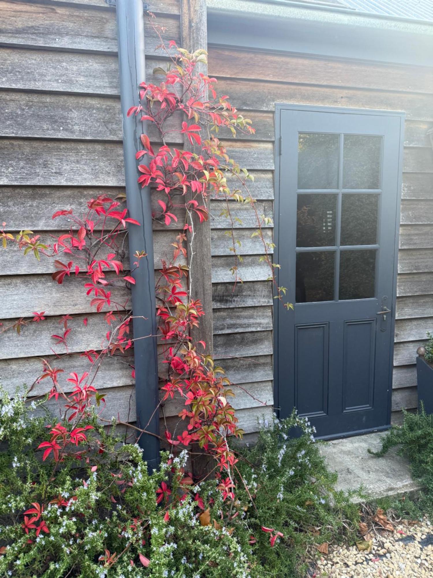 Elm Cottage Barn Oatlands Luaran gambar